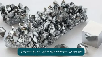 تغير جديد في سعر الفضة اليوم الإثنين.. كم بلغ السعر الآن؟